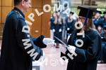 [foto]