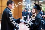 [foto]