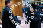 [foto]