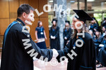 [foto]