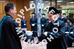 [foto]