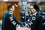 [foto]