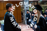 [foto]