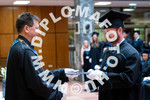 [foto]