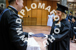 [foto]