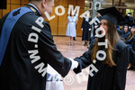 [foto]