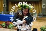 [foto]