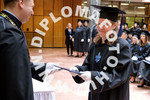 [foto]