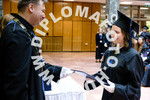 [foto]