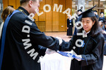 [foto]