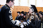[foto]
